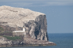 bass-rock_HBN2688