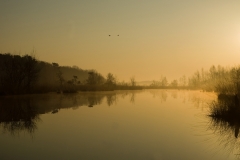 haaksbergerveen_HBO2110