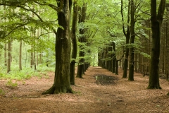 herikerberg-1