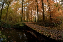 Bruggetje over beek op landgoed Weldam