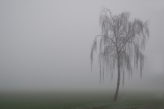 mist_HBO0538
