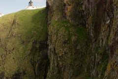 st-abbs-head_HBN3121