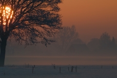 winterlandschap_HBN6031